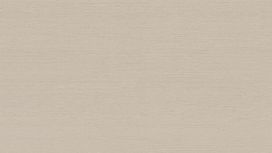 גליל טפט ראש 532548