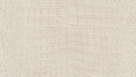 גליל טפט ראש 474152