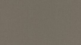 גליל טפט ראש 423990