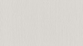 גליל טפט ראש 834321