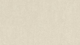 גליל טפט ראש 402339