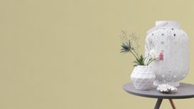 גליל טפט ראש 447521