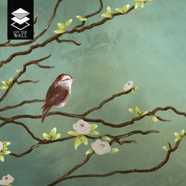 טפט מגיקל ספרוו טוויגס