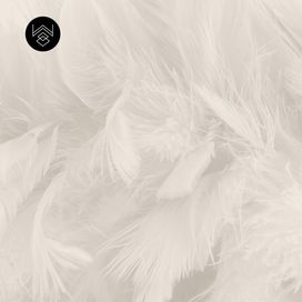 טפט סטורי וייב 5