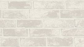 גליל טפט ראש 408003