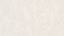 גליל טפט ראש 211702