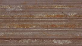 גליל טפט ראש 425789