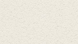 גליל טפט ראש 400700