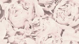 גליל טפט ראש 464252