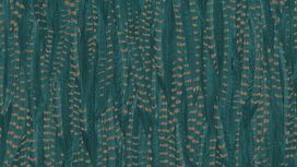 גליל טפט ראש 550245