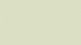 גליל טפט ראש 447538