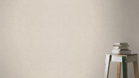 גליל טפט ראש 634150