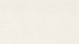 גליל טפט ראש 402315