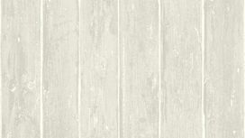 גליל טפט ראש 809220