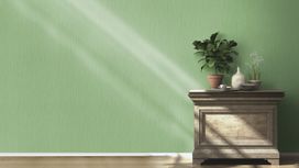 גליל טפט ראש 535297