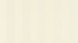 גליל טפט ראש 532319