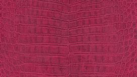 גליל טפט ראש 528701