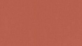 גליל טפט ראש 423969