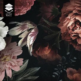 טפט רוז מורל אדמדם