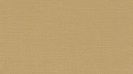 גליל טפט ראש 449150