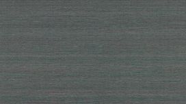 גליל טפט ראש 528855