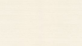 גליל טפט ראש 532524