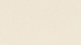 גליל טפט ראש 530278