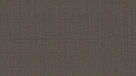 גליל טפט ראש 528572