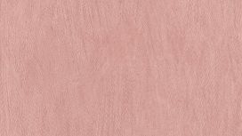 גליל טפט ראש 540857