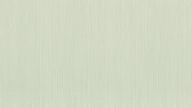 גליל טפט ראש 963236