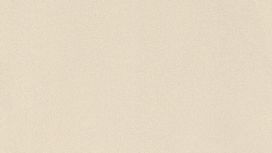 גליל טפט ראש 418644