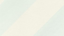 גליל טפט ראש 531602