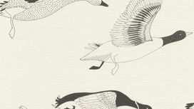 גליל טפט ראש 530704