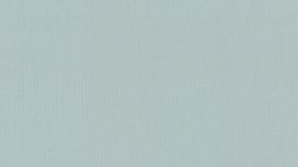 גליל טפט ראש 542431