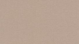 גליל טפט ראש 448566