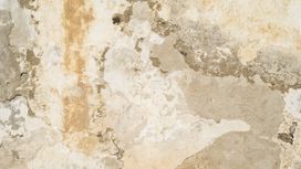 טפט תמונה 101133