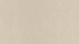 גליל טפט ראש 542424