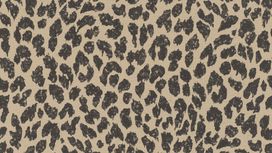 גליל טפט ראש 465013