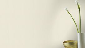 גליל טפט ראש 536805