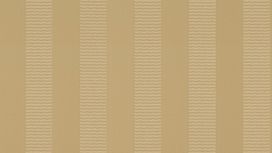 גליל טפט ראש 532340