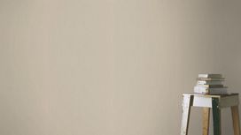 גליל טפט ראש 501155