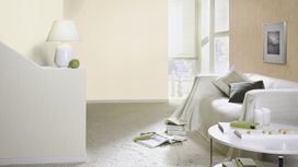 גליל טפט ראש 536805