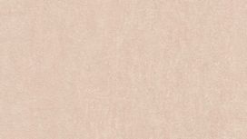 גליל טפט ראש 550030