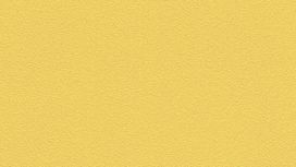 גליל טפט ראש 489514