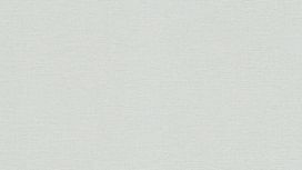 גליל טפט ראש 448603