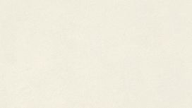 גליל טפט ראש 418613