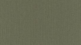 גליל טפט ראש 407945