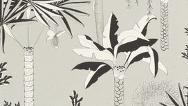 גליל טפט ראש 540048