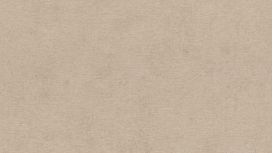 גליל טפט ראש 408164