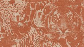 גליל טפט ראש 704723